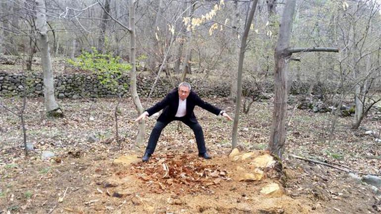 Isparta’da dev kestane ağaçları katledildi