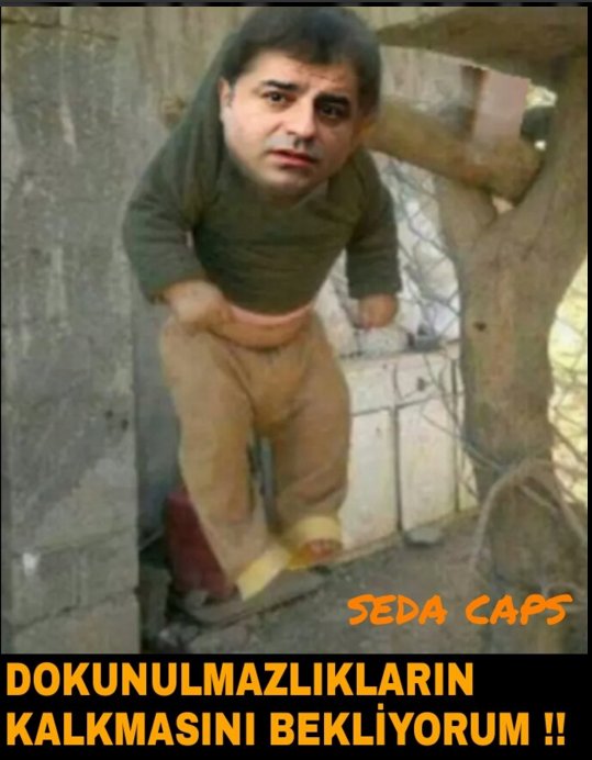 Dokunulmazlık capsleri